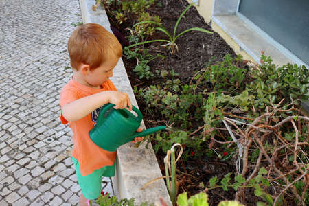A blond boy watering flowers from a watering can.の写真素材