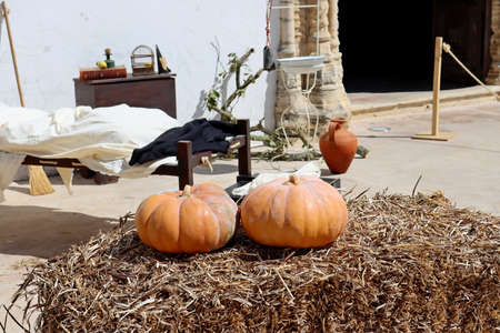 Two ripe orange pumpkins on a bale of hay.の写真素材