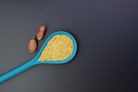 Granular garlic in a blue spoon on a gray background.の写真素材