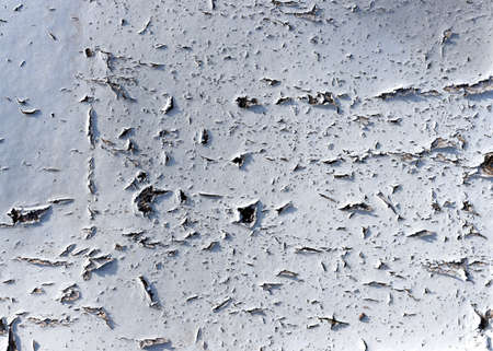 Peeling paint texture. Textured grunge background. White peeling paint on old rough wood surfaceの写真素材