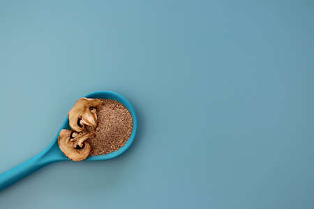 Mushroom powder and dried mushrooms in a blue spoon on a blue background. Shredded dried mushrooms.の写真素材