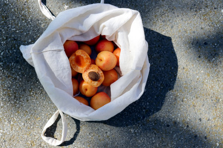 Ripe apricots in a rag bag on a gray stone background.の写真素材