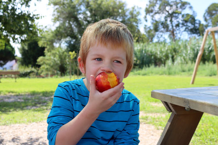 A six-year-old boy bites into a juicy nectarine in the park. Healthy eating for children.の写真素材