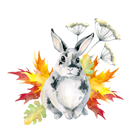 Gray spotted rabbit, sitting. Autumn leaves maple. Watercolor is isolated on white background.の写真素材