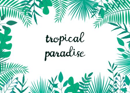 Vector illustration with tropical leaves on white background. For advertising, poster, decoration.のイラスト素材