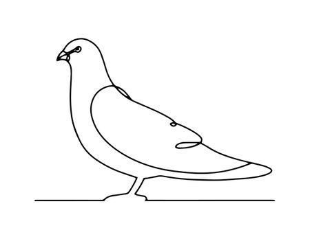 Line art pigeon, simple bird. Vector illustrationのイラスト素材