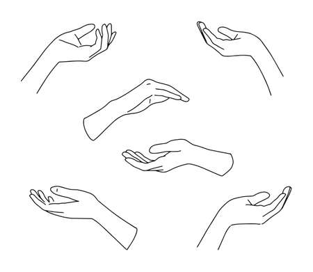 Set of linear hands, elegant woman hands. . Vector illustrationのイラスト素材