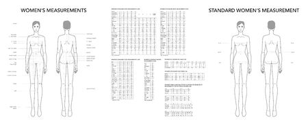 Womens measurements fashion terminology Illustration for lady size chart. 9 head size girl for site and online shop. Human body infographic template with all name of all parts for clothes.のイラスト素材