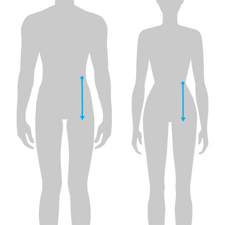 Women and men to do body rise measurement fashion Illustration for size chart. 7.5 head size girl and boy for site or online shop. Human body infographic template for clothes.のイラスト素材