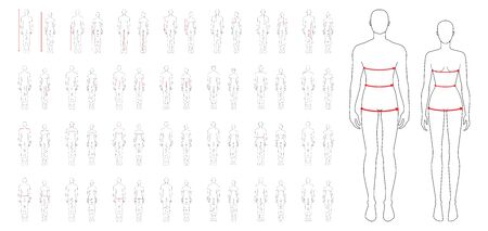 Women and men to do body measurement fashion Illustration for size chart 58 piece set. 7.5 head size girl and boy for site or online shop. Human body infographic template for clothes.のイラスト素材