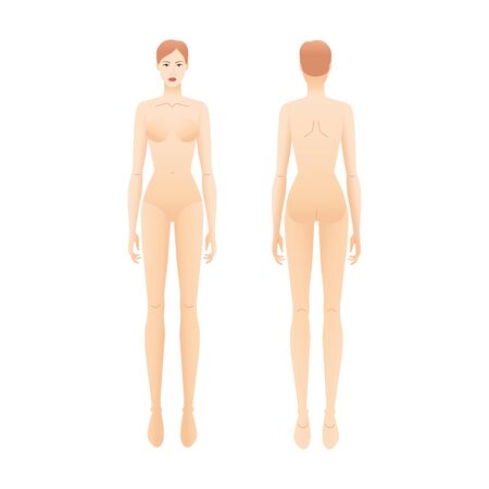 Fashion template of nude standing women. 9 head size croquis for technical drawing. Lady figure front and back naked view. Vector outline girl for fashion sketching and illustration.のイラスト素材