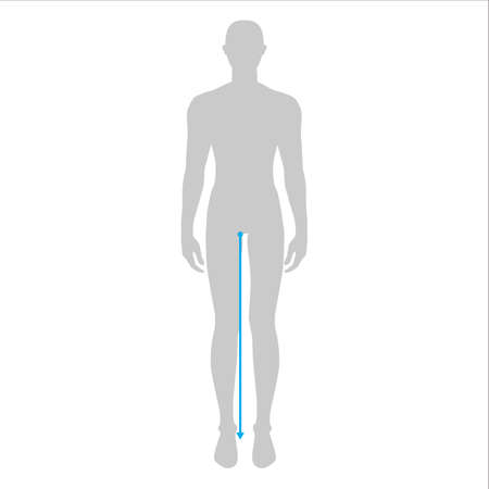 Men to do legs length measurement fashion Illustration for size chart. 7.5 head size boy for site or online shop. Human body infographic template for clothes.の写真素材