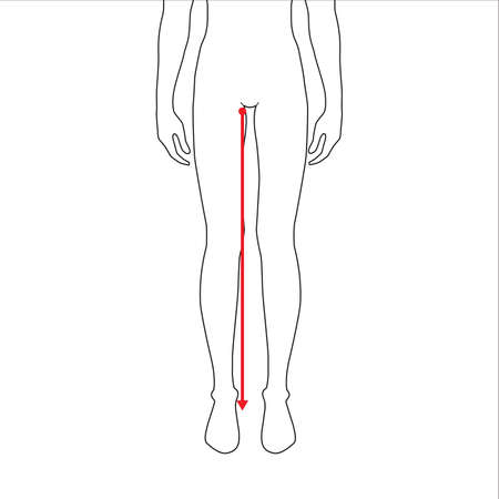 Men to do legs length measurement fashion Illustration for size chart. 7.5 head size boy for site or online shop. Human body infographic template for clothes.のイラスト素材