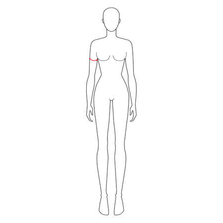 Women to do biceps measurement fashion Illustration for size chart. 7.5 head size girl for site or online shop. Human body infographic template for clothes.のイラスト素材