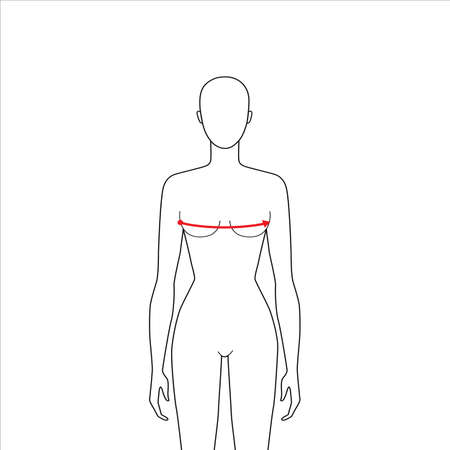 Women to do bust measurement fashion Illustration for size chart. 7.5 head size girl for site or online shop. Human body infographic template for clothes.のイラスト素材