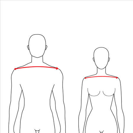 Women and men to do shoulder width measurement fashion Illustration for size chart. 7.5 head size girl and boy for site or online shop. Human body infographic template for clothes.のイラスト素材