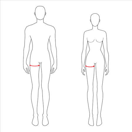 Women and men to do max thigh measurement fashion Illustration for size chart. 7.5 head size girl and boy for site or online shop. Human body infographic template for clothes.のイラスト素材