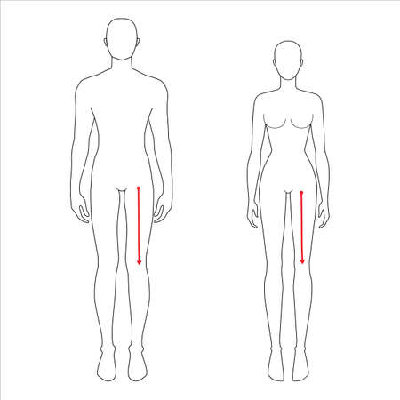 Women and men to do crotch to knee measurement fashion Illustration for size chart. 7.5 head size girl and boy for site or online shop. Human body infographic template for clothes.のイラスト素材