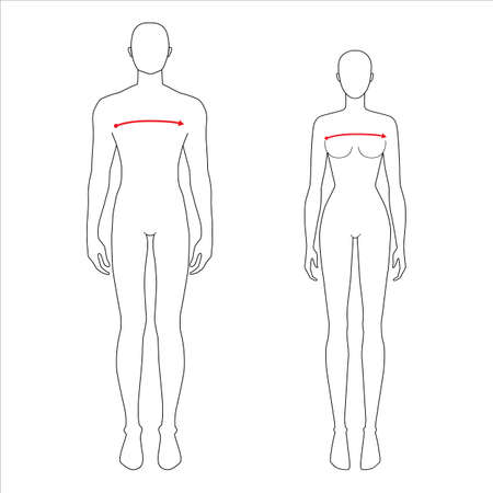 Women and men to do x-front and x-back measurement fashion Illustration for size chart. 7.5 head size girl and boy for site or online shop. Human body infographic template for clothes.のイラスト素材