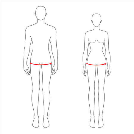 Women and men to do hip measurement fashion Illustration for size chart. 7.5 head size girl and boy for site or online shop. Human body infographic template for clothes.のイラスト素材