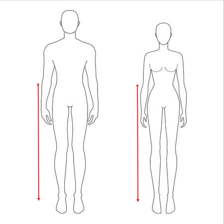 Women and men to do waist to floor measurement fashion Illustration for size chart. 7.5 head size girl and boy for site or online shop. Human body infographic template for clothes.のイラスト素材