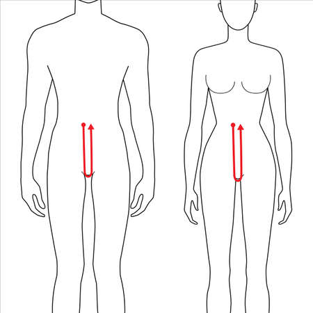 Women and men to do crotch depth measurement fashion Illustration for size chart. 7.5 head size girl and boy for site or online shop. Human body infographic template for clothes.のイラスト素材