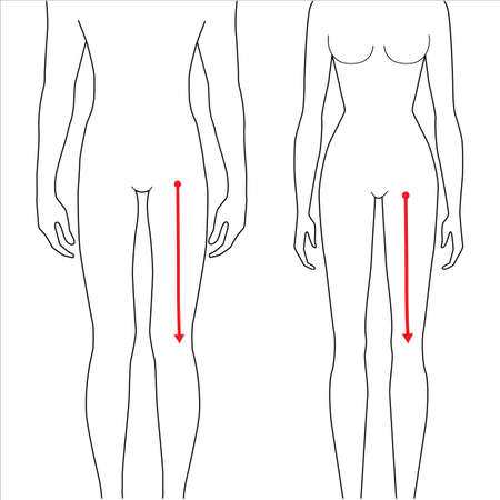 Women and men to do crotch to knee measurement fashion Illustration for size chart. 7.5 head size girl and boy for site or online shop. Human body infographic template for clothes.のイラスト素材