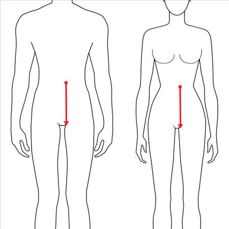 Women and men to do waist to hip measurement fashion Illustration for size chart. 7.5 head size girl and boy for site or online shop. Human body infographic template for clothes.のイラスト素材
