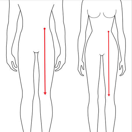 Women and men to do waist to knee measurement fashion Illustration for size chart. 7.5 head size girl and boy for site or online shop. Human body infographic template for clothes.のイラスト素材