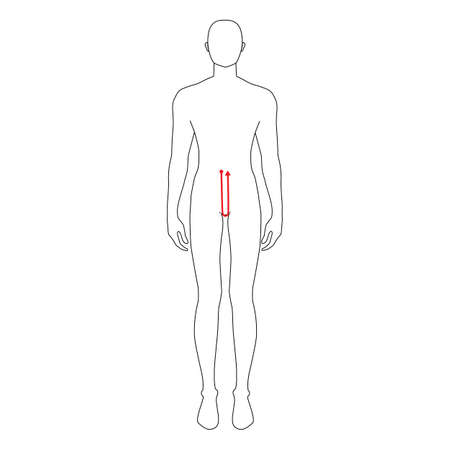 Men to do crotch depth measurement fashion Illustration for size chart. 7.5 head size boy for site or online shop. Human body infographic template for clothes.のイラスト素材