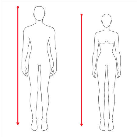 Women and men to do height measurement fashion Illustration for size chart. 7.5 head size girl and boy for site or online shop. Human body infographic template for clothes.のイラスト素材