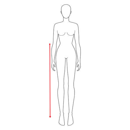 Women to do waist to floor measurement fashion Illustration for size chart. 7.5 head size girl for site or online shop. Human body infographic template for clothes.のイラスト素材