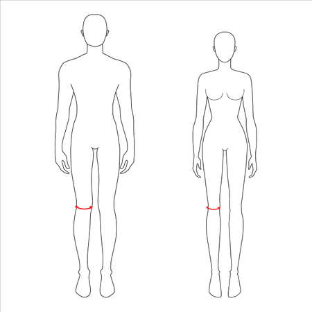 Women and men to do knee measurement fashion Illustration for size chart. 7.5 head size girl and boy for site or online shop. Human body infographic template for clothes.のイラスト素材