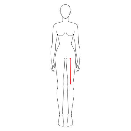Women to do crotch to knee measurement fashion Illustration for size chart. 7.5 head size girl for site or online shop. Human body infographic template for clothes.のイラスト素材