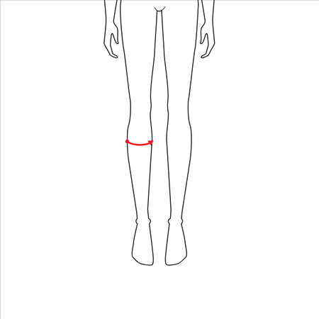 Women to do calf measurement fashion Illustration for size chart. 7.5 head size girl for site or online shop. Human body infographic template for clothes.のイラスト素材