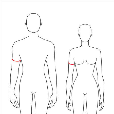Women and men to do biceps measurement fashion Illustration for size chart. 7.5 head size girl and boy for site or online shop. Human body infographic template for clothes.のイラスト素材