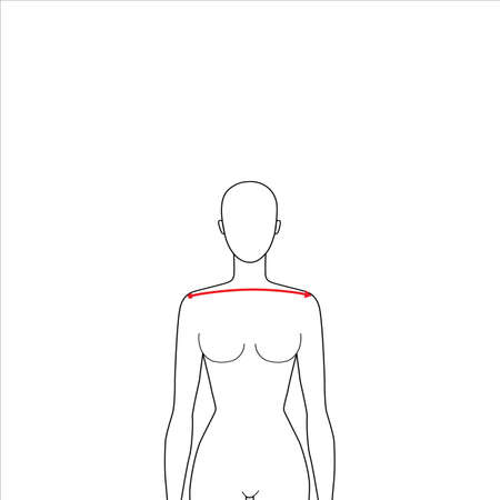 Women to do shoulder width measurement fashion Illustration for size chart. 7.5 head size girl for site or online shop. Human body infographic template for clothes.のイラスト素材
