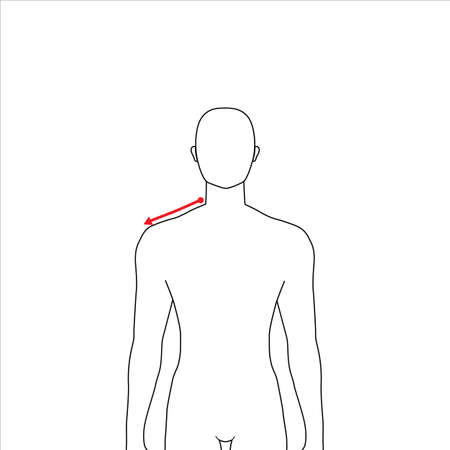 Men to do shoulder measurement fashion Illustration for size chart. 7.5 head size boy for site or online shop. Human body infographic template for clothes.のイラスト素材