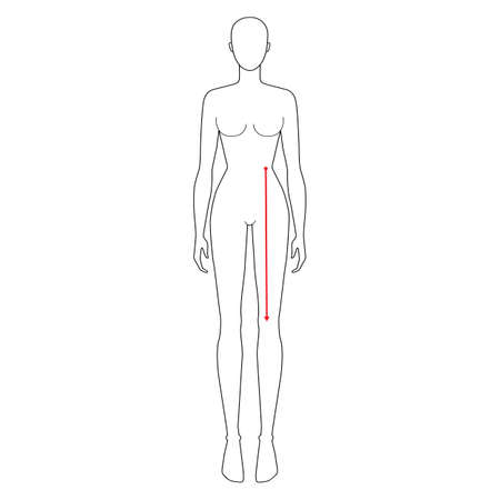 Women to do waist to knee measurement fashion Illustration for size chart. 7.5 head size girl for site or online shop. Human body infographic template for clothes.のイラスト素材