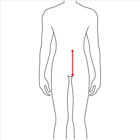 Men to do waist to hip measurement fashion Illustration for size chart. 7.5 head size boy for site or online shop. Human body infographic template for clothes.のイラスト素材