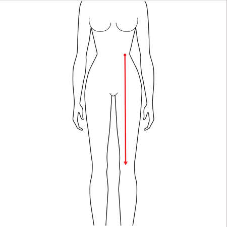 Women to do waist to knee measurement fashion Illustration for size chart. 7.5 head size girl for site or online shop. Human body infographic template for clothes.のイラスト素材