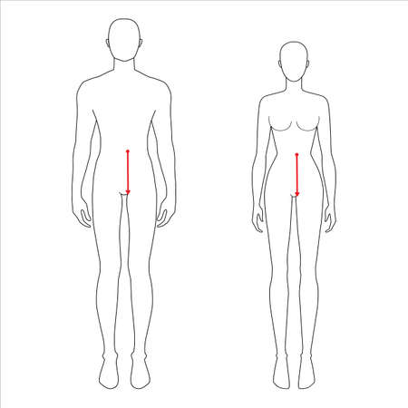 Women and men to do waist to hip measurement fashion Illustration for size chart. 7.5 head size girl and boy for site or online shop. Human body infographic template for clothes.のイラスト素材