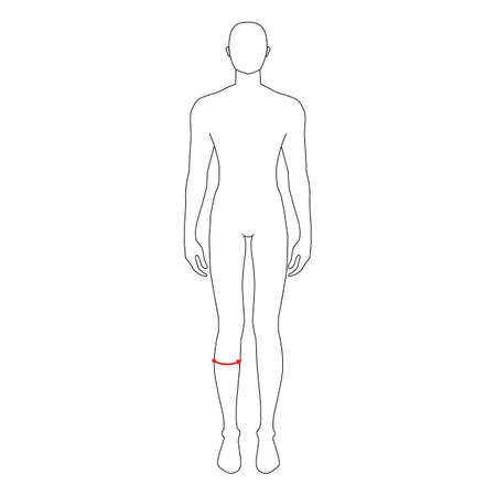 Men to do calf measurement fashion Illustration for size chart. 7.5 head size boy for site or online shop. Human body infographic template for clothes.のイラスト素材
