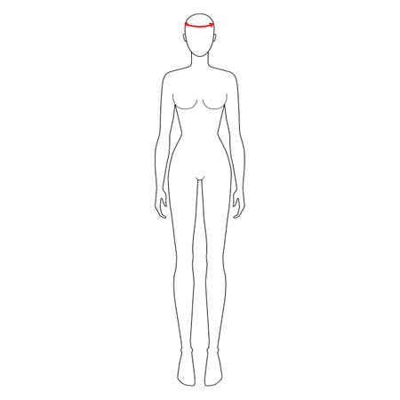Women to do head measurement fashion Illustration for size chart. 7.5 head size girl for site or online shop. Human body infographic template for clothes.のイラスト素材