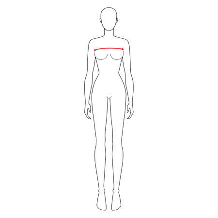 Women to do x-front and x-back measurement fashion Illustration for size chart. 7.5 head size girl for site or online shop. Human body infographic template for clothes.のイラスト素材