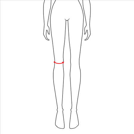 Women to do knee measurement fashion Illustration for size chart. 7.5 head size girl for site or online shop. Human body infographic template for clothes.のイラスト素材