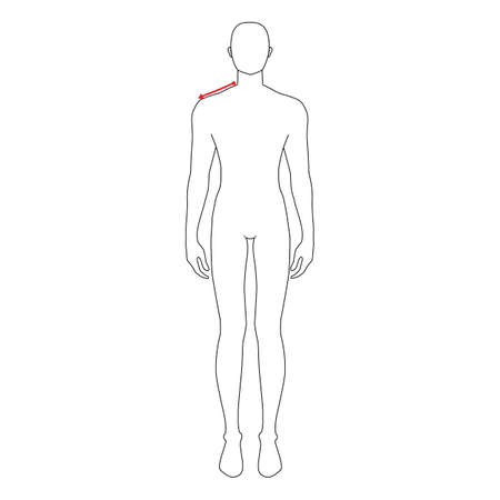 Men to do shoulder measurement fashion Illustration for size chart. 7.5 head size boy for site or online shop. Human body infographic template for clothes.のイラスト素材