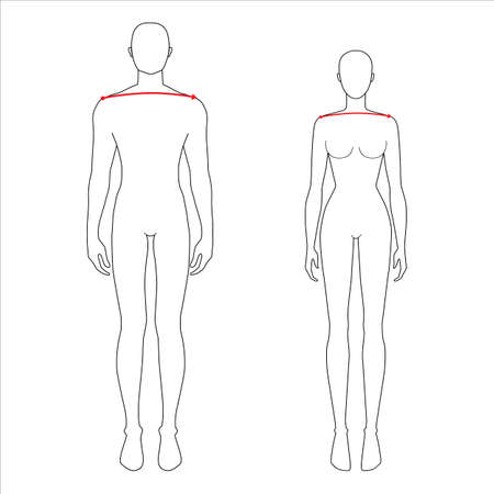 Women and men to do shoulder width measurement fashion Illustration for size chart. 7.5 head size girl and boy for site or online shop. Human body infographic template for clothes.のイラスト素材