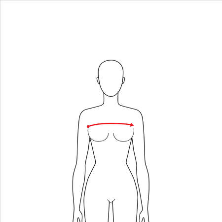 Women to do x-front and x-back measurement fashion Illustration for size chart. 7.5 head size girl for site or online shop. Human body infographic template for clothes.のイラスト素材