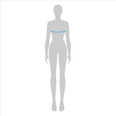 Women to do bust measurement fashion Illustration for size chart. 7.5 head size girl for site or online shop. Human body infographic template for clothes.のイラスト素材